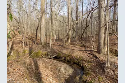 598 Moores Pond Road, Youngsville, NC 27596 - Photo 32