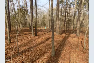 598 Moores Pond Road, Youngsville, NC 27596 - Photo 4