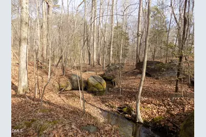 598 Moores Pond Road, Youngsville, NC 27596 - Photo 30