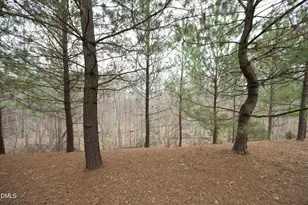 636 Chronicle Dr, Cary, NC 27513 - Photo 40