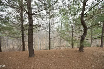 636 Chronicle Drive, Cary, NC 27513 - Photo 40