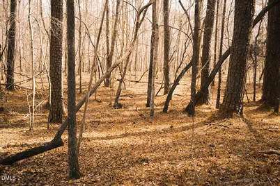 000 Ferguson Road, Chapel Hill, NC 27516 - Photo 14