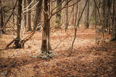 000 Ferguson Road, Chapel Hill, NC 27516 - Photo 8