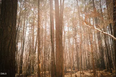 000 Ferguson Road, Chapel Hill, NC 27516 - Photo 16