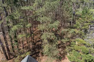 3616 Manford Dr, Durham, NC 27707 - Photo 30