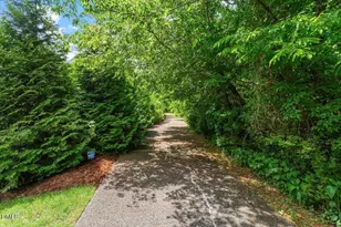 405 Jewell Dr, Chapel Hill, NC 27516 - Photo 58