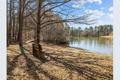 14 Tottenham Lane, Chapel Hill, NC 27517 - Photo 46