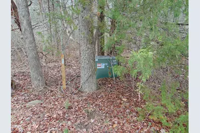 0 Fowlkes Road, Pelham, NC 27311 - Photo 6