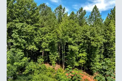 5310 Langdon Drive, Oxford, NC 27565 - Photo 4