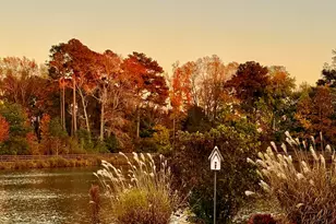 1013 Black River Dr, Zebulon, NC 27597 - Photo 52