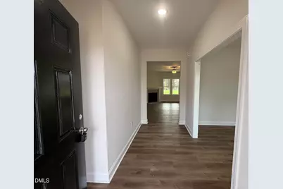 52 Hot Springs Way, Benson, NC 27504 - Photo 4