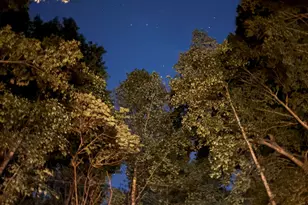 8309 Ashwood Dr, Raleigh, NC 27603 - Photo 88