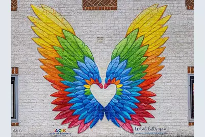 601 Highgrove Drive, Chapel Hill, NC 27516 - Photo 80