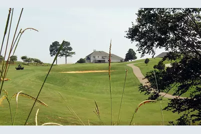 7 N Mistflower Street, Clayton, NC 27520 - Photo 10