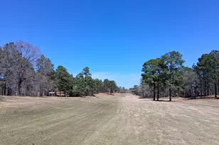 39 Forest Lake Dr, Jackson Springs, NC 27281 - Photo 40