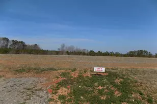 0000 Sutton Rd, Louisburg, NC 27549 - Photo 1