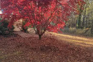 2020 Spring Valley Dr, Clayton, NC 27520 - Photo 30