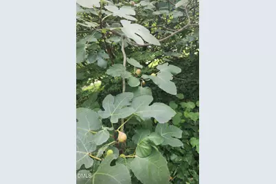 2020 Spring Valley Drive, Clayton, NC 27520 - Photo 28