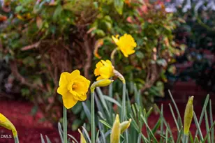 5223 Center Church Rd, Sanford, NC 27330 - Photo 42