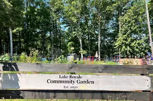 117 Deer Cross Dr, Louisburg, NC 27549 - Photo 46