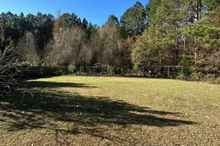 111 Appaloosa Ln, Zebulon, NC 27597 - Photo 12