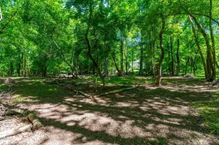 170 Walker Run, Selma, NC 27576 - Photo 48