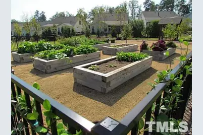 254 Deardom Way, Chapel Hill, NC 27516 - Photo 46