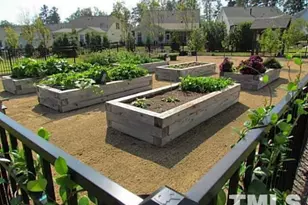 254 Deardom Wy, Chapel Hill, NC 27516 - Photo 46