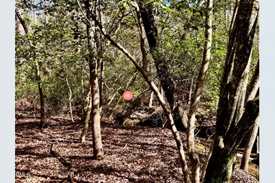 2046 Treetop Circle, Sanford, NC 27332 - Photo 6