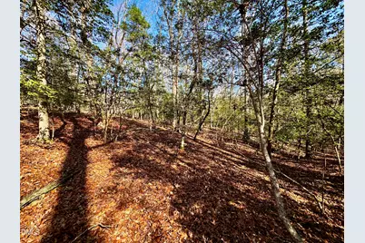 2046 Treetop Circle, Sanford, NC 27332 - Photo 4