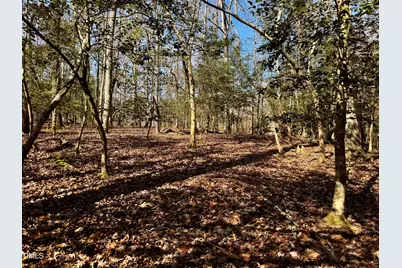 2046 Treetop Circle, Sanford, NC 27332 - Photo 8
