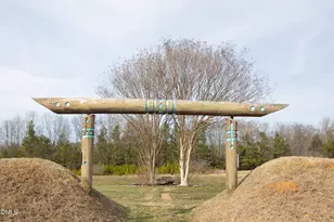 1009 Starfield Cir, Hillsborough, NC 27278 - Photo 58