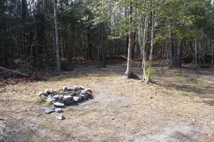 111 Shagbark Ln, Zebulon, NC 27597 - Photo 50