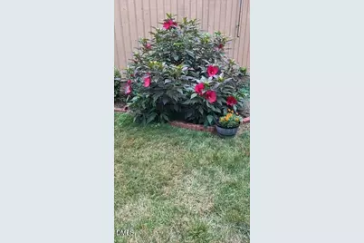 717 Tanglebrook Way, Raleigh, NC 27615 - Photo 28