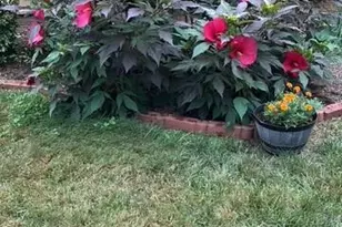 717 Tanglebrook Way, Raleigh, NC 27615 - Photo 28