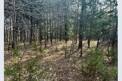 11.05 Acre Elmore Road, Leasburg, NC 27291 - Photo 4