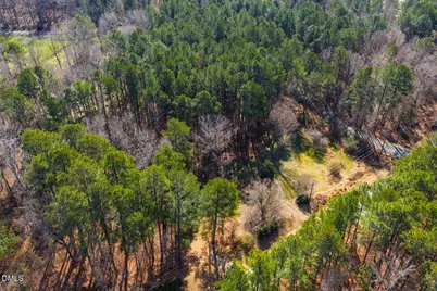 2615 Butler Road, Chapel Hill, NC 27516 - Photo 8