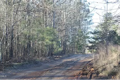 0 Martin Pond Road, Wendell, NC 27591 - Photo 4