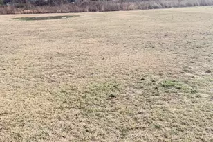 3639 Lori Ann Rd, Bailey, NC 27807 - Photo 8