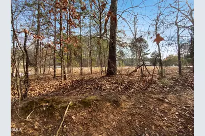 1661 Holly Grove Way, Durham, NC 27713 - Photo 18