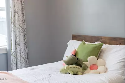 320 Chickasaw Plum Drive, Holly Springs, NC 27540 - Photo 46