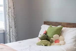 320 Chickasaw Plum Dr, Holly Springs, NC 27540 - Photo 46