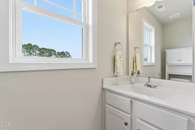 338 Beaver Tavern Drive, Benson, NC 27504 - Photo 12