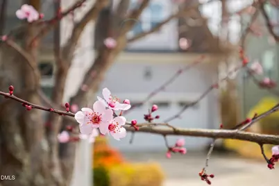 528 Spring Flower Court, Cary, NC 27511 - Photo 6