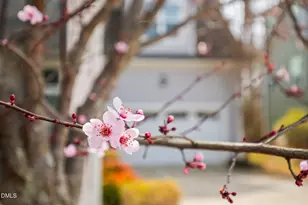 528 Spring Flower Ct, Cary, NC 27511 - Photo 6