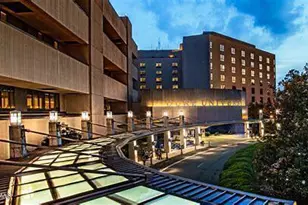 1049 Zelkova Ln, Chapel Hill, NC 27517 - Photo 28