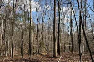 0 Birch Creek Farm Ln, Franklinton, NC 27525 - Photo 1