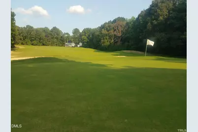 1175 Sagamore Drive, Louisburg, NC 27549 - Photo 48