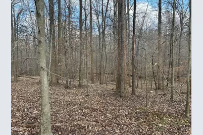 0000 Dairyland Road, Chapel Hill, NC 27516 - Photo 6