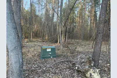 3828 Standing Pine Lane, Zebulon, NC 27597 - Photo 12